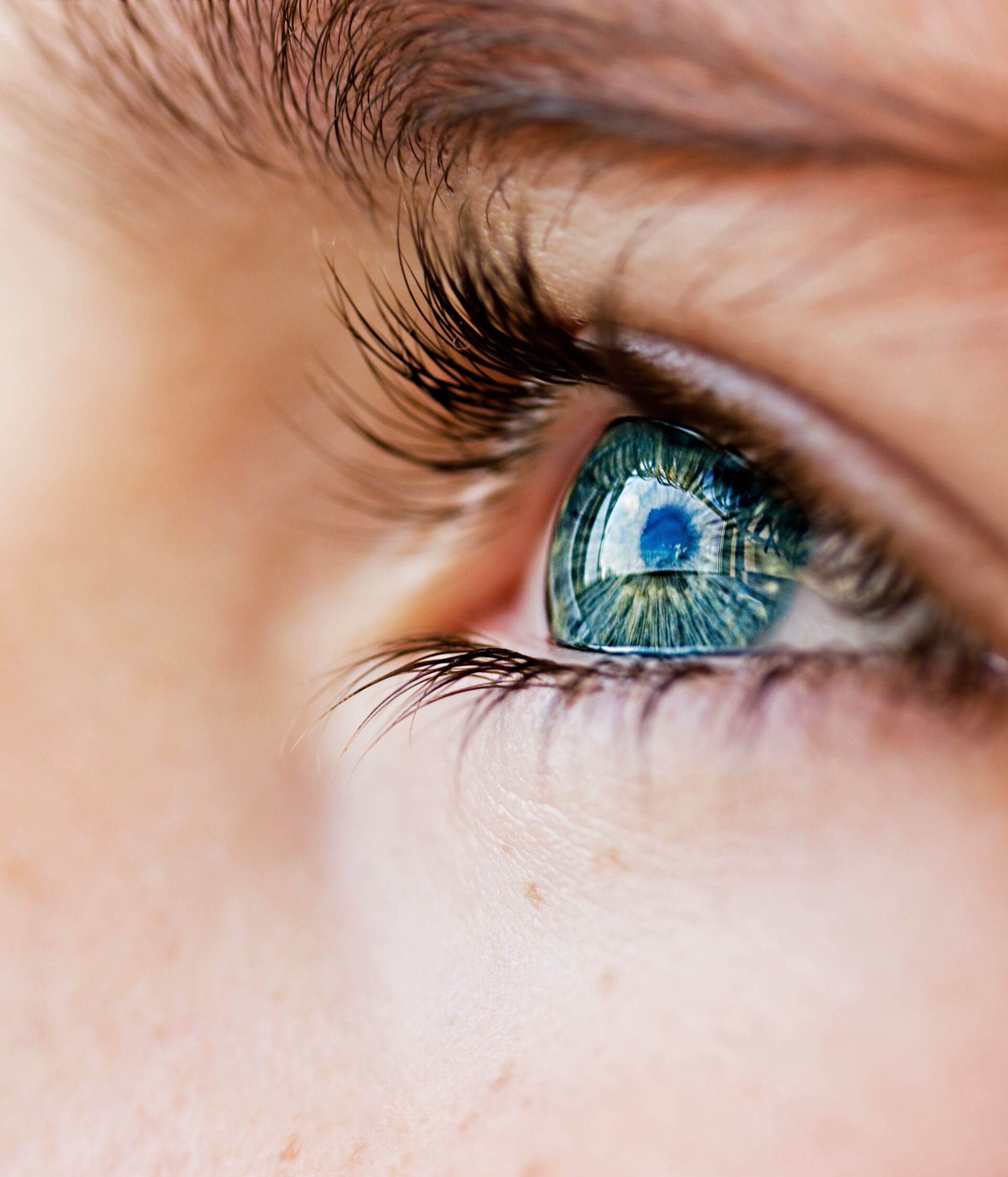 Schöne Augen Kosmetik Bautzen  Augenpflege‑Kosmetikbehandlung mit Wimpern und Augenbrauenbetonung